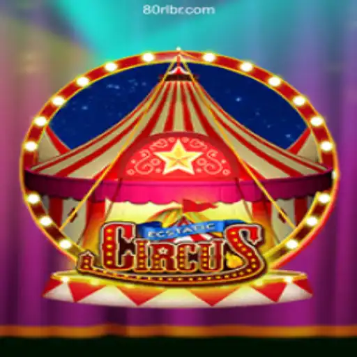 80RL.com platform-online Slots Brasil #1 Online Slots